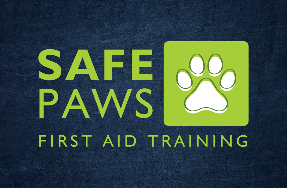 Safe Paws branding project